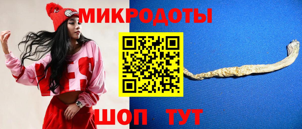 Тосно  Галлюциногенные грибы ЛСД  Вход с VPN  Галлюциногенные грибы Psilocybine cubensis 