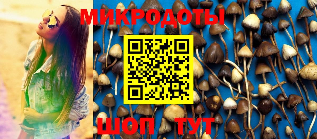 Псилоцибиновые грибы ЛСД Тосно