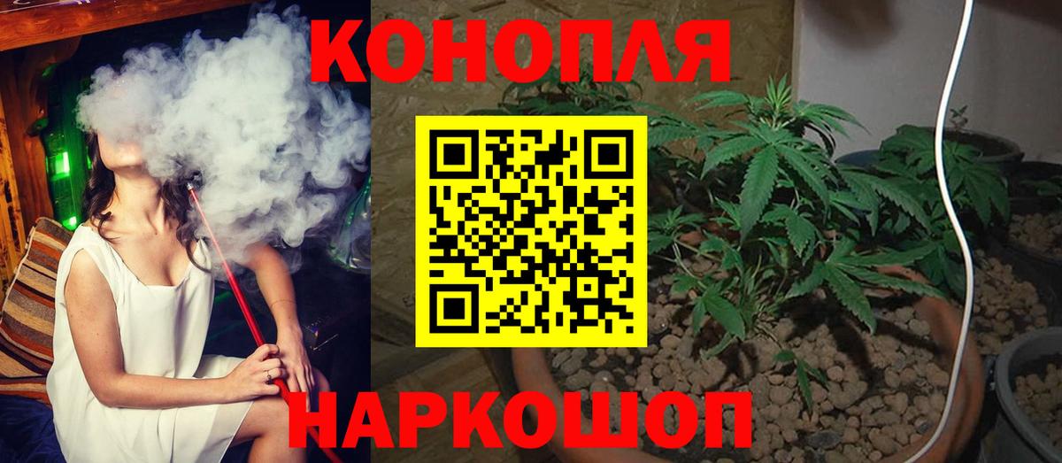 Бошки Шишки Amnesia Тосно